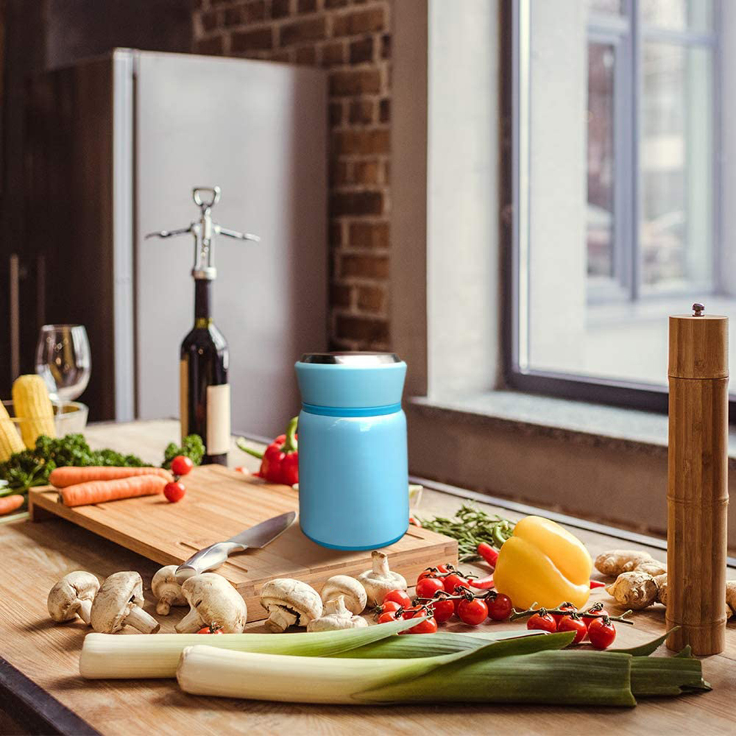 इंसुलेटेड फूड कंटेनर